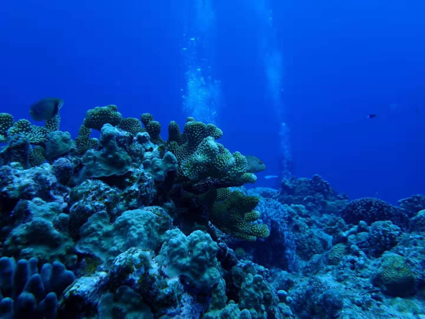 天然海滩行程